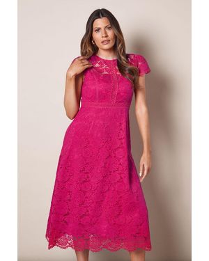 Wallis Lace Fit And Flare Midi Dress - Pink