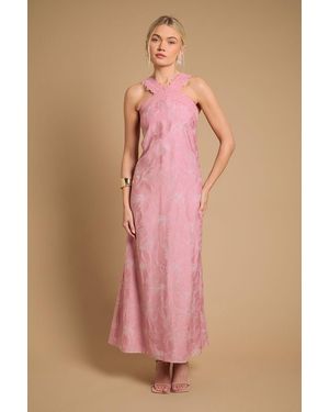 Oasis Halterneck Maxi Dress - Pink