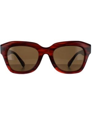 Smarty Square Demi Transparent Sb2311 - Brown
