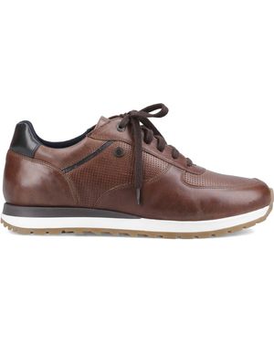 Base London Lancaster Casual Trainers Leather - Brown