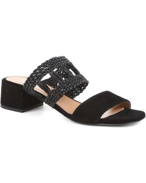 Jones Bootmaker Kimora Raffia Heeled Mule Sandals - Black