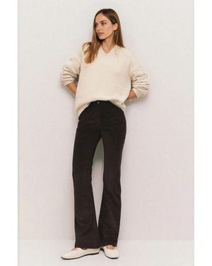 Secret Label Velvet Bootcut Trousers Jeans - Natural