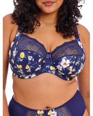 Elomi Morgan Full Cup Bra - Blue