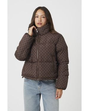 Brave Soul Polka Dot Puffer Jacket - Brown