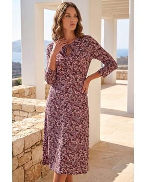 Roman Petite Paisley Tie Neck Dress - Brown