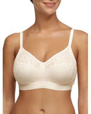 Chantelle Easy Feel Norah Wirefree Support Bra - Brown