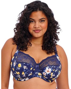 Elomi Morgan Full Cup Bra - Blue