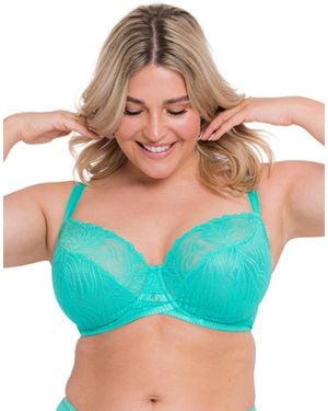 Curvy Kate Lace Daze Balcony Bra - Blue