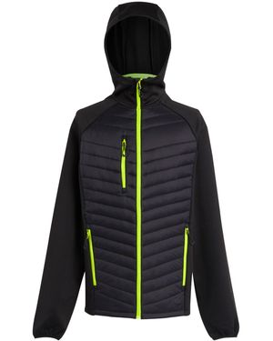 Regatta Navigate Quilted Hybrid Jacket /Lime) - Blue