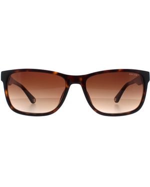Police Rectangle Shiny Dark Havana Gradient Splb40N Arcade 2 - Brown