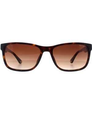 Police Rectangle Shiny Dark Havana Gradient Splb40N Arcade 2 - Brown