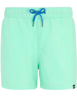 Regatta Mawson Ii Swim Shorts (Ice/Sonic) - Green