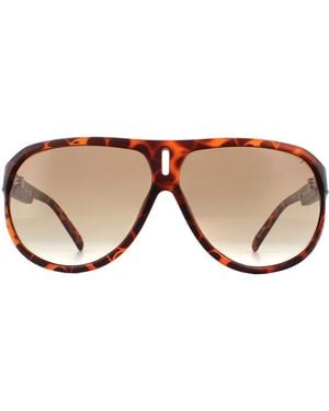 Guess Aviator Tortoise Gradient Sunglasses - Brown