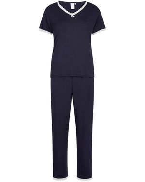 CCDK Jordan Pj Set Ld99 - Blue