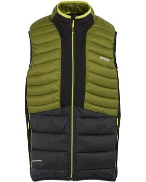 Regatta Leedre Hybrid Gilet (Nephrite/ - Green