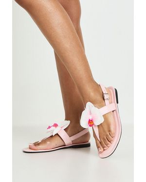 Boohoo Orchid Detail Toe Post Sandals - Pink