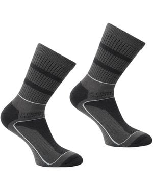 Regatta Samaris 3 Season Socks (Pack Of 2) (Granite/Light Steel) - Grey