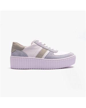 Gabor Dazzling Ladies Suede Trainers Multicoloured - Purple