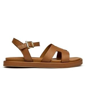 Sole Norma Sandals - Brown
