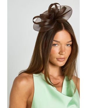 Boohoo Loop Clip Hair Fascinator - Brown