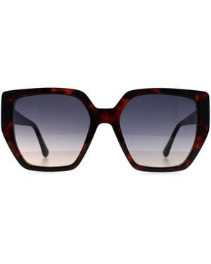 Guess Cat Eye Dark Havana Gradient Gf6178 - Black