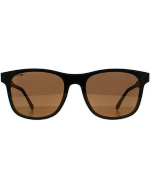 Lacoste Square Matte L907S - Brown