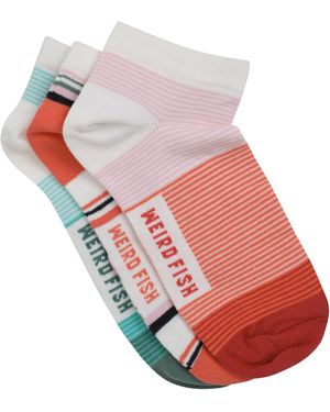 Weird Fish Ladies Loretta Trainer Socks (Pack Of 3) Blossom) - Red