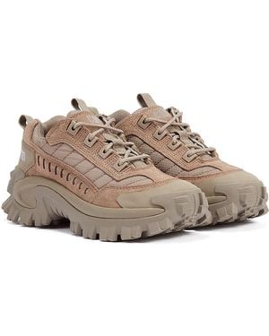 Caterpillar Intruder Fungi Trainers - Grey