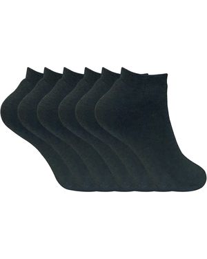 Sock Snob 6 Pairs Ladies Cushioned Thermal Trainer Socks - Blue