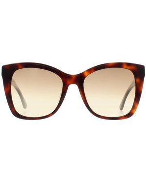 Calvin Klein Butterfly Havana Gradient Ck22530S - Brown
