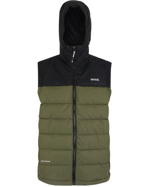 Regatta Aldthorn Body Warmer Night/ - Green