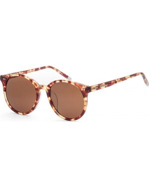 Calvin Klein Ck4327Sa-214 Ck4327Sa 99 214 Classic Sunglasses - Brown
