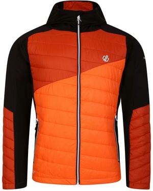 Dare 2b Touring Contrast Panel Hybrid Jacket (Puffins/Rooibos Tea) - Orange