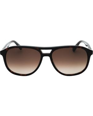 Banana Republic Sf Lensed Havana Sunglasses - Brown