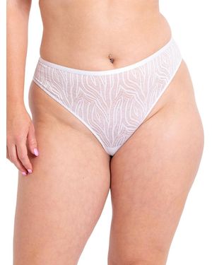Curvy Kate Lace Daze Brazilian - Pink