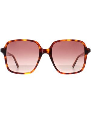 Ted Baker Sunglasses Tb1688 100 52 - Blue