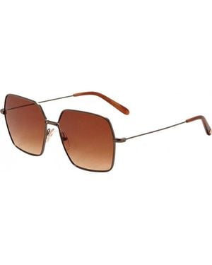 Garrett Leight 4067 56 Atgvinbrtbrntg Meadow Sunglasses - Brown