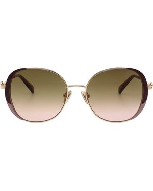 Ted Baker Zarah Sunglasses - Brown
