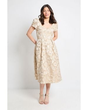 Wallis Jacquard Seam Detail Midi Dress - Natural