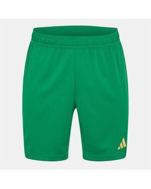 adidas T24 Goal Keeper Bermuda Shorts - Green