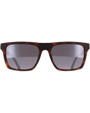 Lacoste Rectangle Matte Havana L957S - Brown