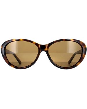 Ted Baker Oval Havana Gradient Tb1315 Cougar - Brown