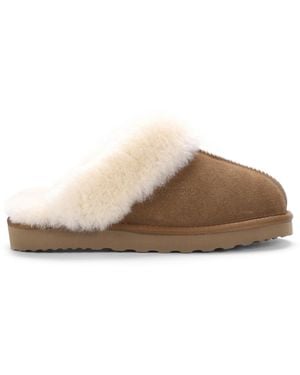 Aus Wooli Australië Sydney Slippers - Bruin
