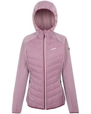 Regatta Ladies Andreson Viii Hybrid Jacket (Lilac/Beaujolais) - Purple