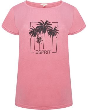 Esprit Ladies T-Shirt Cotton - Pink