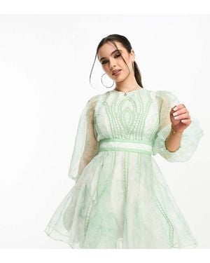 ASOS Design Lace Insert Embroidered Organza Mini Skater Dress - Green