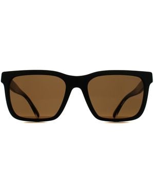 Emporio Armani Square Shiny Ea4262U - Brown