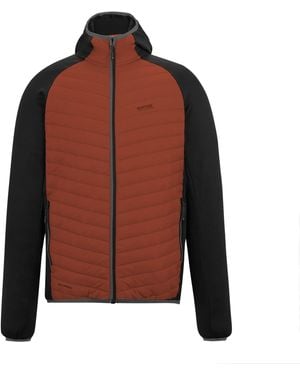 Regatta Andreson Hybrid Jacket (Brick/ - Brown