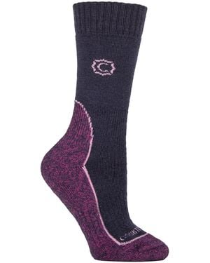 Country Pursuit Ladies Wool Blend Cushioned Walker Socks For Hiking & Outdoor Comfort - Purple