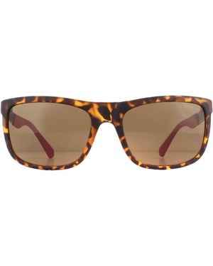 Guess Rectangle Dark Havana Polarized Sunglasses - Brown